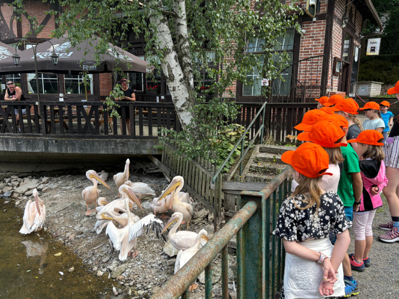 Příměšťák s TULkou