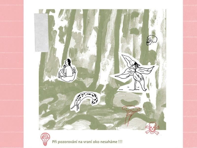 Bylinopis, Eva Volfová