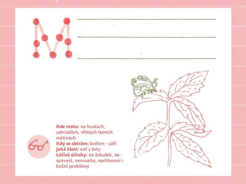 Bylinopis, Eva Volfová