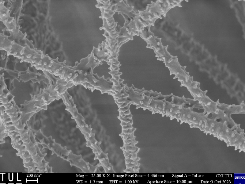 nanovlákna s výstupky - snímek z rastrovacího elektronového mikroskopu
