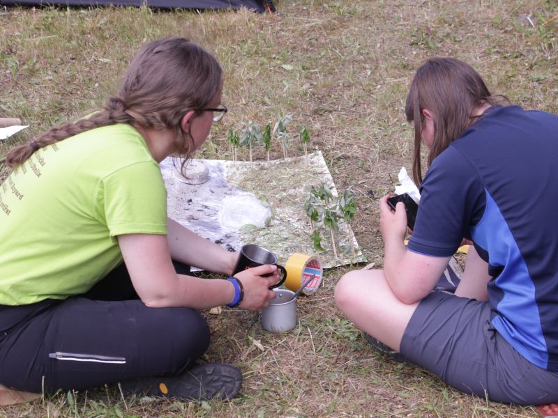 Kreativní činnosti