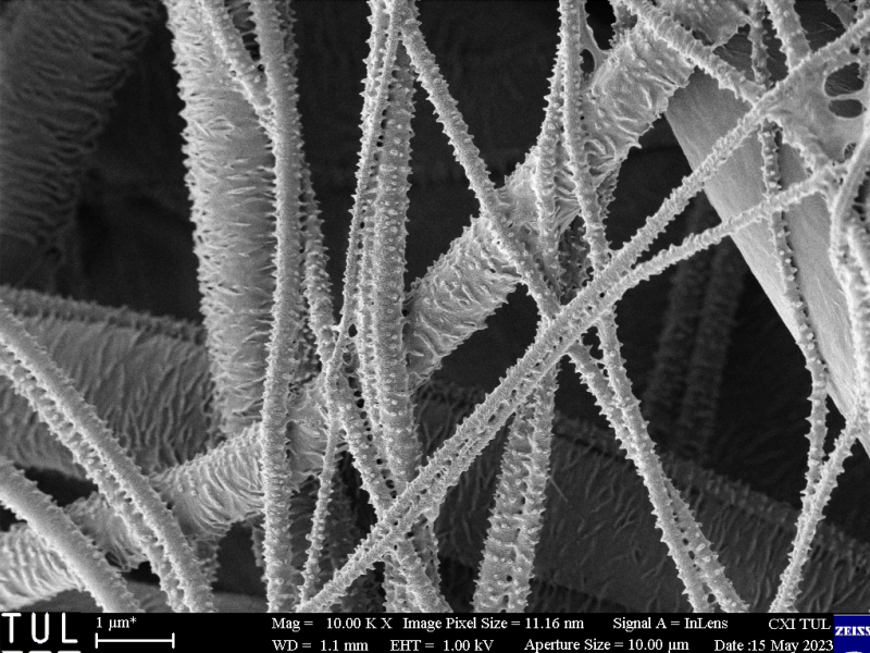 nanovlákna s výstupky - snímek z rastrovacího elektronového mikroskopu