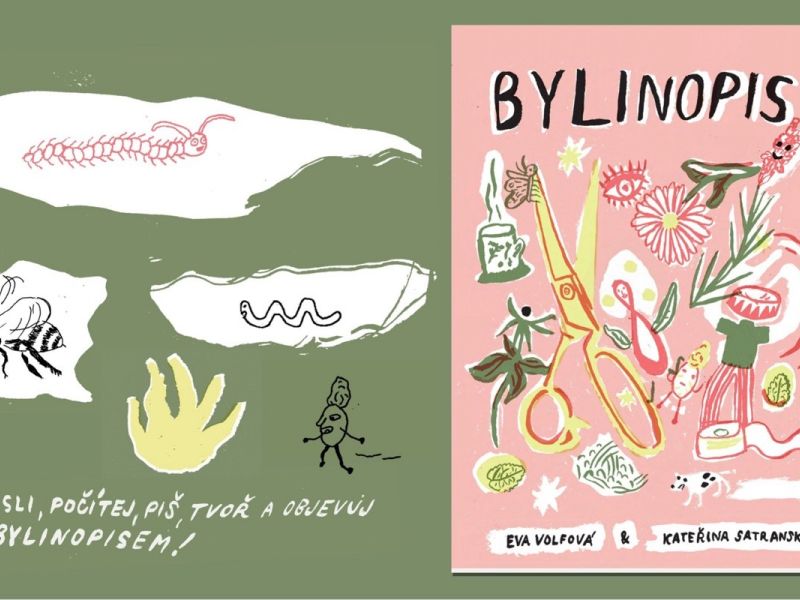 Bylinopis, Eva Volfová