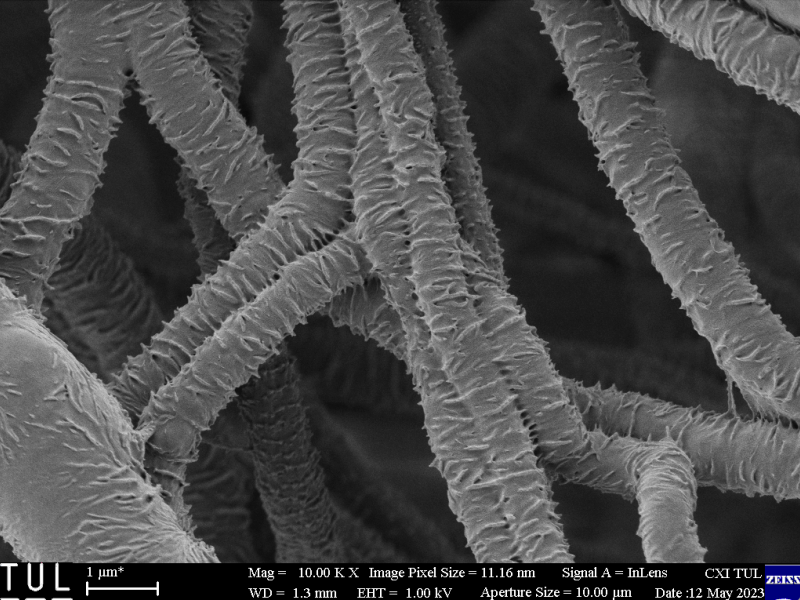 nanovlákna s výstupky - snímek z rastrovacího elektronového mikroskopu